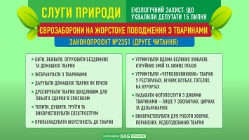 Рада приняла законопроект об усилении борьбы против жестокого обращения с животными