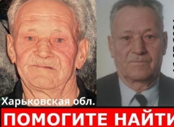 На рассвете вышел из дома и не вернулся. В Кулиничах пропал 90-летний дедушка