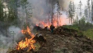 Дым от лесных пожаров остановил авиасообщение и суднопластво в регионе РФ