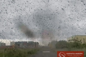 По России пронеслись "комариные смерчи": фото и видео жуткого явления