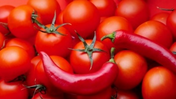 Как приготовить фаршированные помидоры: три быстрых рецепта
