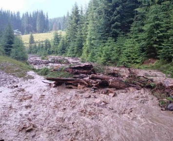 Паводки отрезали часть села от дороги на Закарпатье (ФОТО)