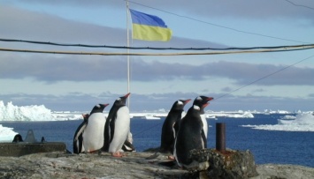 Объявили отбор в 27-ю Украинскую антарктическую экспедицию
