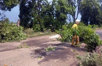 Громыхающий «Кристоф» слегка потрепал Днепропетровщину, оборвав провода и уничтожив растительность на огородах