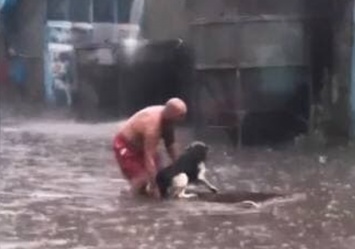 Киевлянин, спасший пса во время потопа, стал звездой соцсетей: кто он и кем работает