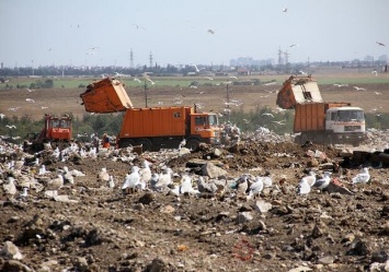 Ущерб на миллионы: экологи рассказали о состоянии свалок в Одесской области