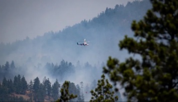 Канадская провинция объявила чрезвычайное положение в связи с лесными пожарами