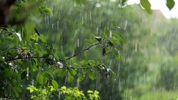 Погода в Украине на 22 июля: где пройдут дожди