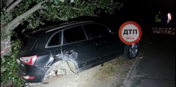 В Киеве пьяная судья чуть не поубивала людей и «влетела» в дерево, - ВИДЕО