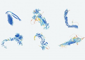 DeepMind с помощью ИИ создает масштабную карту белков человека