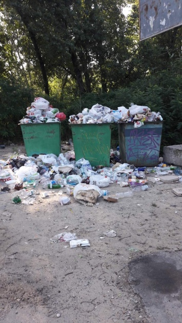 На косе Победы-6 лежат горы мусора: бездомные растаскивают пакеты по всей округе (ФОТО)