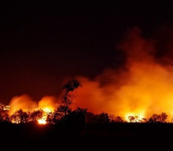 В сеть попало видео бушующих пожаров на западе США