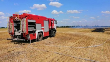 В Николаевской области горело пшеничное поле
