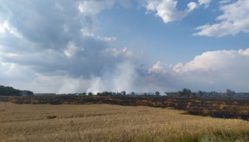 На Черниговщине пожар охватил 55 га пшеничного поля