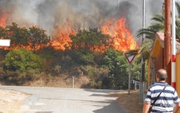 Масштабные пожары начались на Сардинии