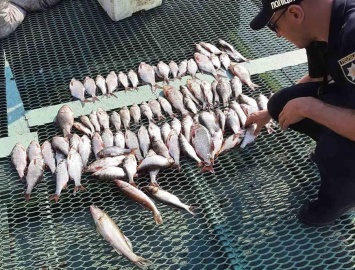 В Запорожье рыбаков на Днепре поймали с запрещенными орудиями лова