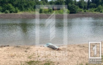 В Кривом Роге на общественном пляже утонула женщина