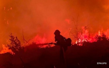 В США леса охвачены огнем в 12 штатах