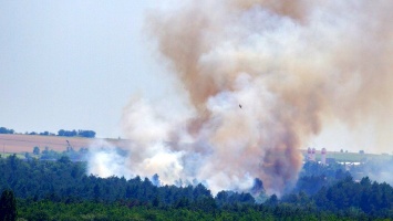 Масштабный пожар на острове Хортица: сосновый лес тушили 65 спасателей