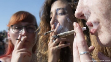Легализация марихуаны. Почему немецкие власти против?
