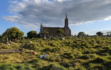 В Ирландии историки "наняли" на работу стадо овец