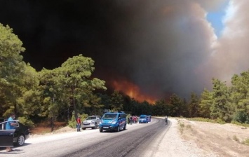 В Анталии лесные пожары подобрались к городам