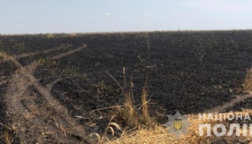 В Одесской области огонь уничтожил 13 гектаров пшеничного поля
