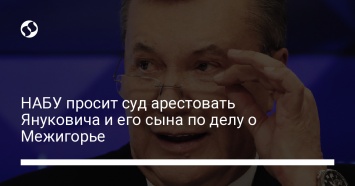 НАБУ просит суд арестовать Януковича и его сына по делу о Межигорье