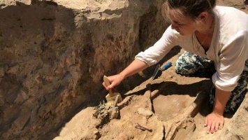 Останки беременной близнецами женщины нашли в древней урне