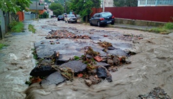 Черновцы внезапно накрыл ливень - затоплены улицы, повалены деревья