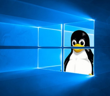 Microsoft упростила установку подсистемы Linux для Windows