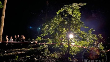 Во Львове во время урагана погибли парень и девушка