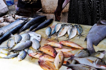 С харьковских рынков изъяли десятки килограммов рыбы