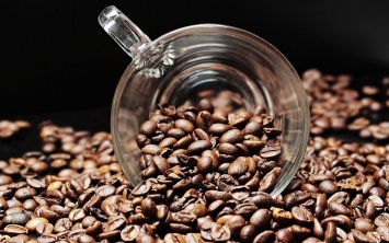 Цена кофе вырастет в 1,5 раза: заморозки портят урожай
