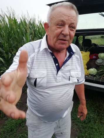 Несколько кочанов капусты и больше сотни луковиц. Житель Чорткова обвинил бывшего мэра в краже с огорода. Фото