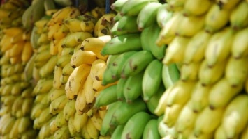 Сколько нужно съесть бананов, чтобы умереть от радиации