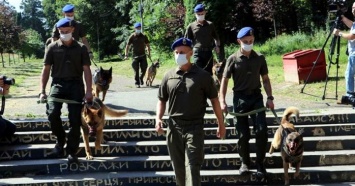 Парад собак, участвовавших в АТО/ООС, прошел во Львове (ФОТО)