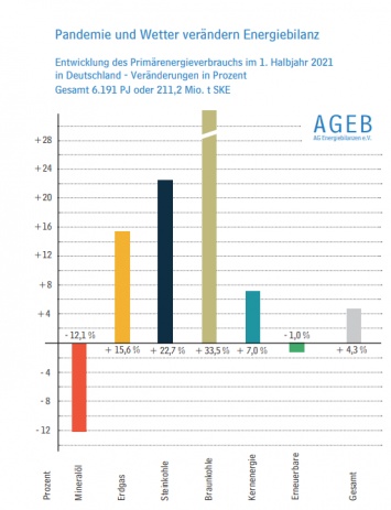 Природный газ в первом полугодии-2021 впервые стал главным источником энергии в Германии