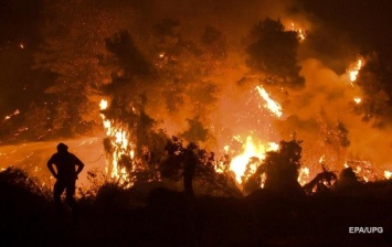В Греции задержаны более 100 человек за поджоги лесов