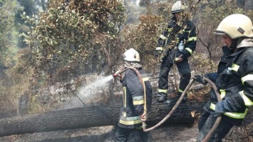 Пожары в Греции: украинские спасатели поразили успехами