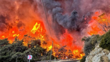В Турции празднуют "победу" над крупными лесными пожарами