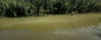 Нечистоты и смрад: экологи ищут причины загрязнения реки Веревчины