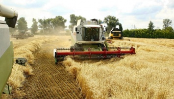 В Украине собрали почти 40 миллионов тонн зерна