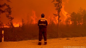 Площадь лесных пожаров в России может стать рекордной