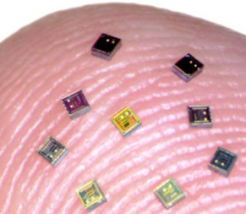 Крошечные чипы передают данные об электрической активности мозга по беспроводной сети