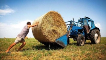 В Украине на фермеров приходится лишь 10% агропроизводства