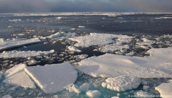 В Арктике обнаружили бактерии, способные разъедать разливы нефти и мазута