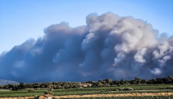 В Средиземноморье вспыхнул новый лесной пожар - на юге Франции