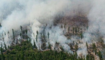 Почти 170 пожаров: в России горит 1,5 миллиона гектаров леса