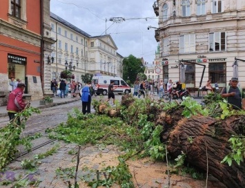 Ураган во Львове повалил деревья, улицы подтоплены (ФОТО)